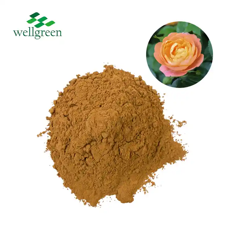 Rosa Centifolia Flower Extract